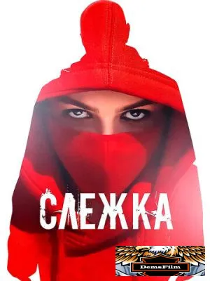 Слежка 2023