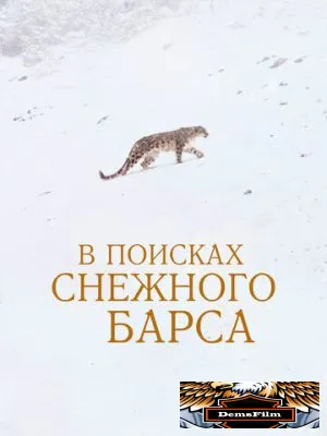 В поисках снежного барса 2021