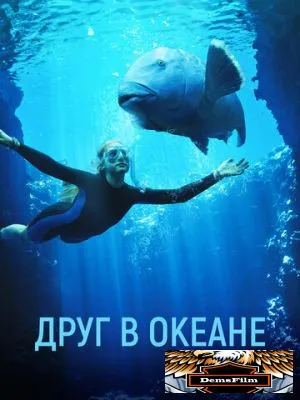 Друг в океане 2022