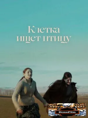 Клетка ищет птицу 2023