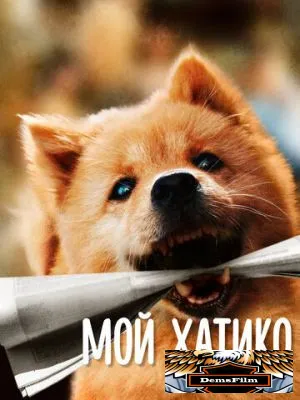 Мой Хатико 2023