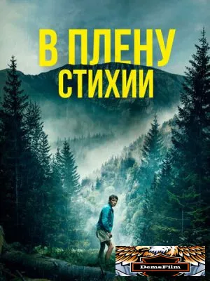 В плену стихии 2024