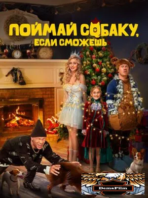 Поймай собаку, если сможешь 2024