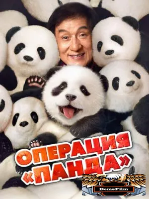 Операция «Панда» 2024