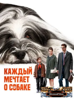 Каждый мечтает о собаке 2023