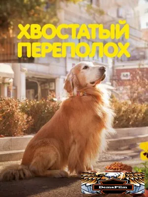 Хвостатый переполох 2024