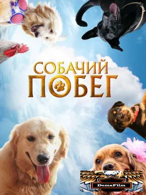 Собачий побег 2023
