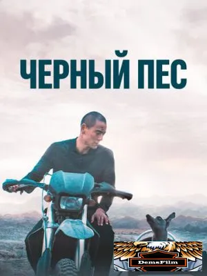 Чёрный пёс 2024