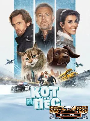 Кот и пёс 2024