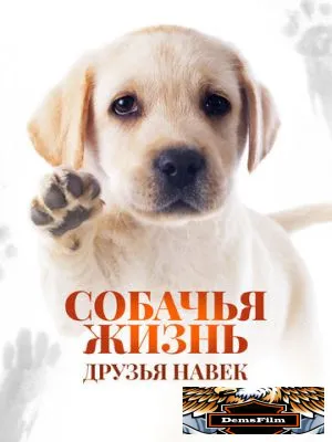 Собачья жизнь: Друзья навек 2023