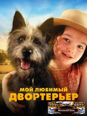 Мой любимый двортерьер 2024