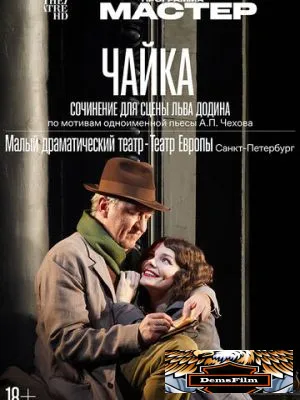 Чайка 2024