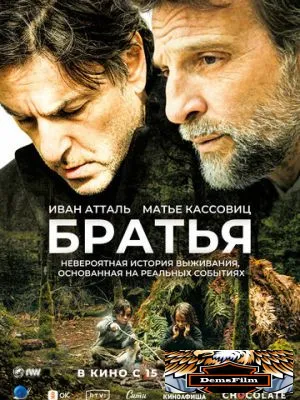 Братья 2024