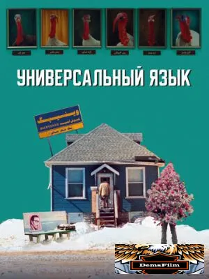 Универсальный язык 2024