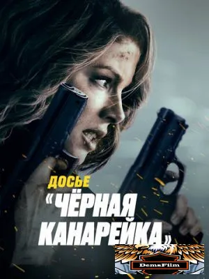 Досье «Чёрная канарейка» 2024