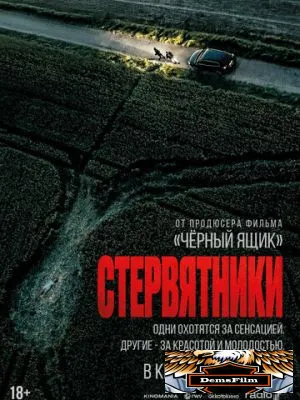 Стервятники 2025