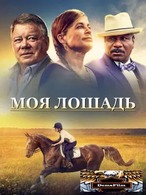 Моя лошадь 2016