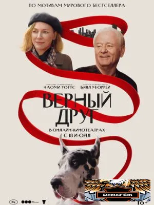 Верный друг 2024