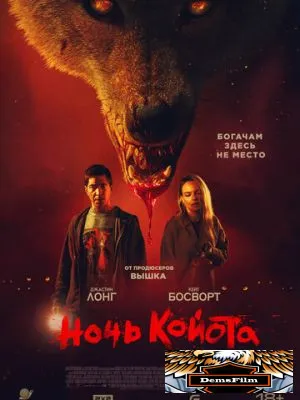 Ночь койота 2025