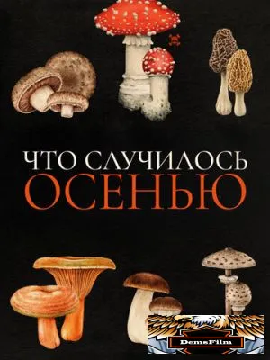 Что случилось осенью 2024