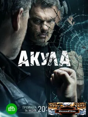 Акула 2021