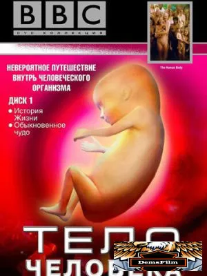 BBC: Тело человека 1998