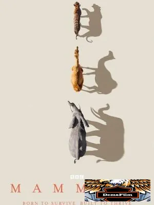 Mammals 2024