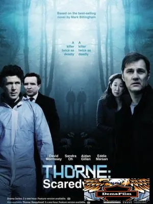 Торн: Пуганая ворона 2010