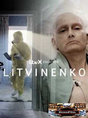 Литвиненко 2022