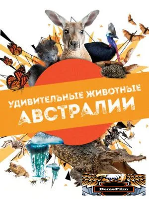 Удивительные животные Австралии 2024