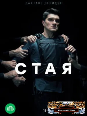 Стая 2022