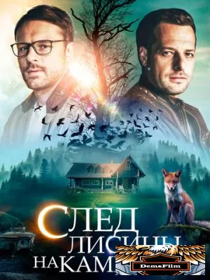 След лисицы на камнях 2019