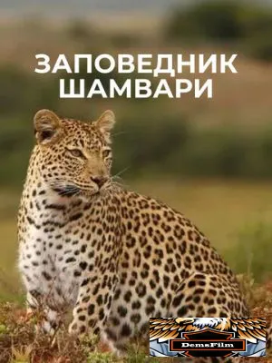 Заповедник Шамвари 2018
