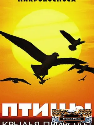 Птицы: Крылья природы 2002