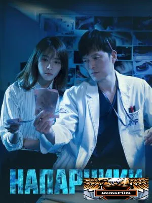 Напарники 2018