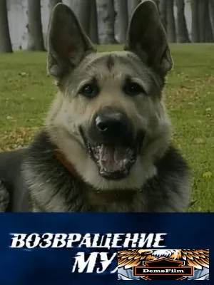 Возвращение Мухтара 2003
