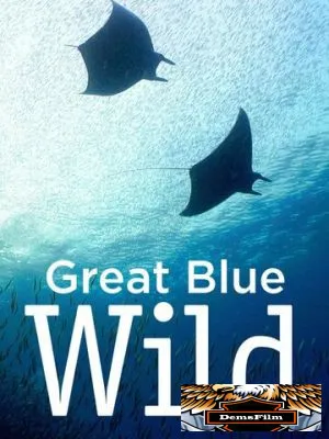 Great Blue Wild 2015