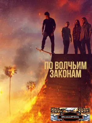 По волчьим законам 2016