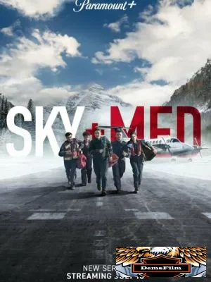 Летучие медики 2022