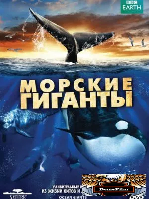 BBC: Морские гиганты 2011