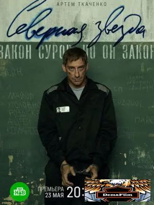 Северная звезда 2020