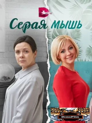 Серая мышь 2023