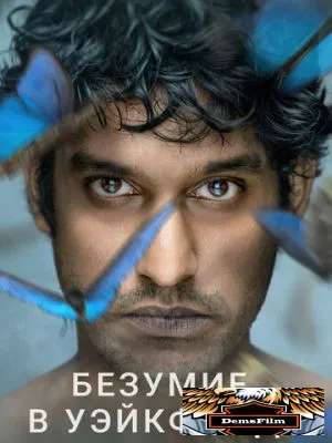 Безумие в Уэйкфилде 2021