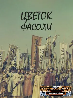 Цветок фасоли 2019