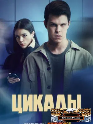 Цикады 2023