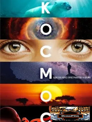 Космос: Пространство и время 2014