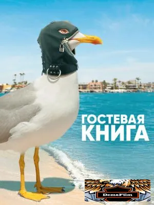 Гостевая книга 2017
