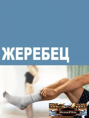 Жеребец 2009