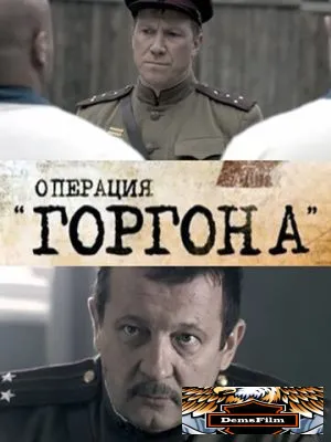 Операция «Горгона» 2011