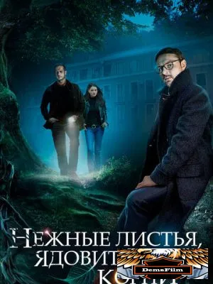 Нежные листья, ядовитые корни 2019